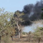 scene of action in Sambisa forest