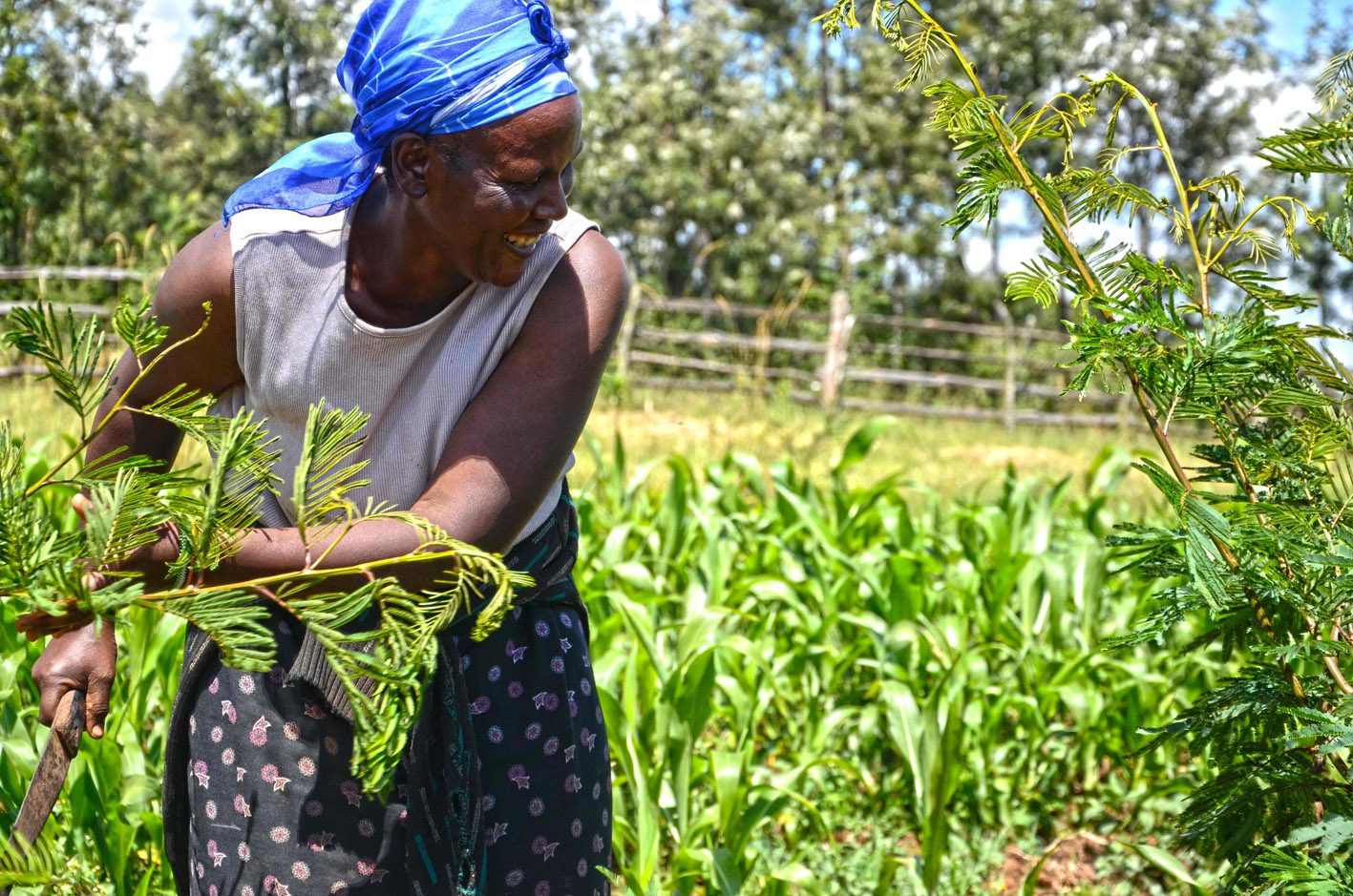 African farmer food farming, food inflation