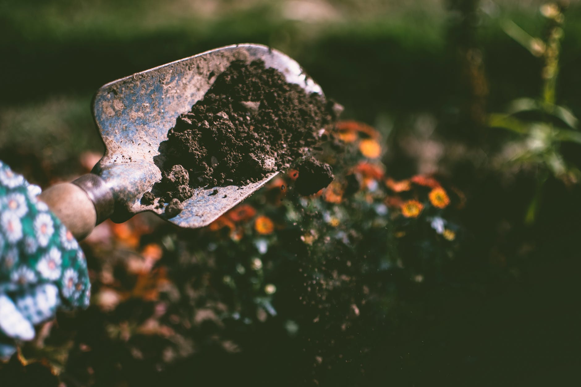 garden gardening tools