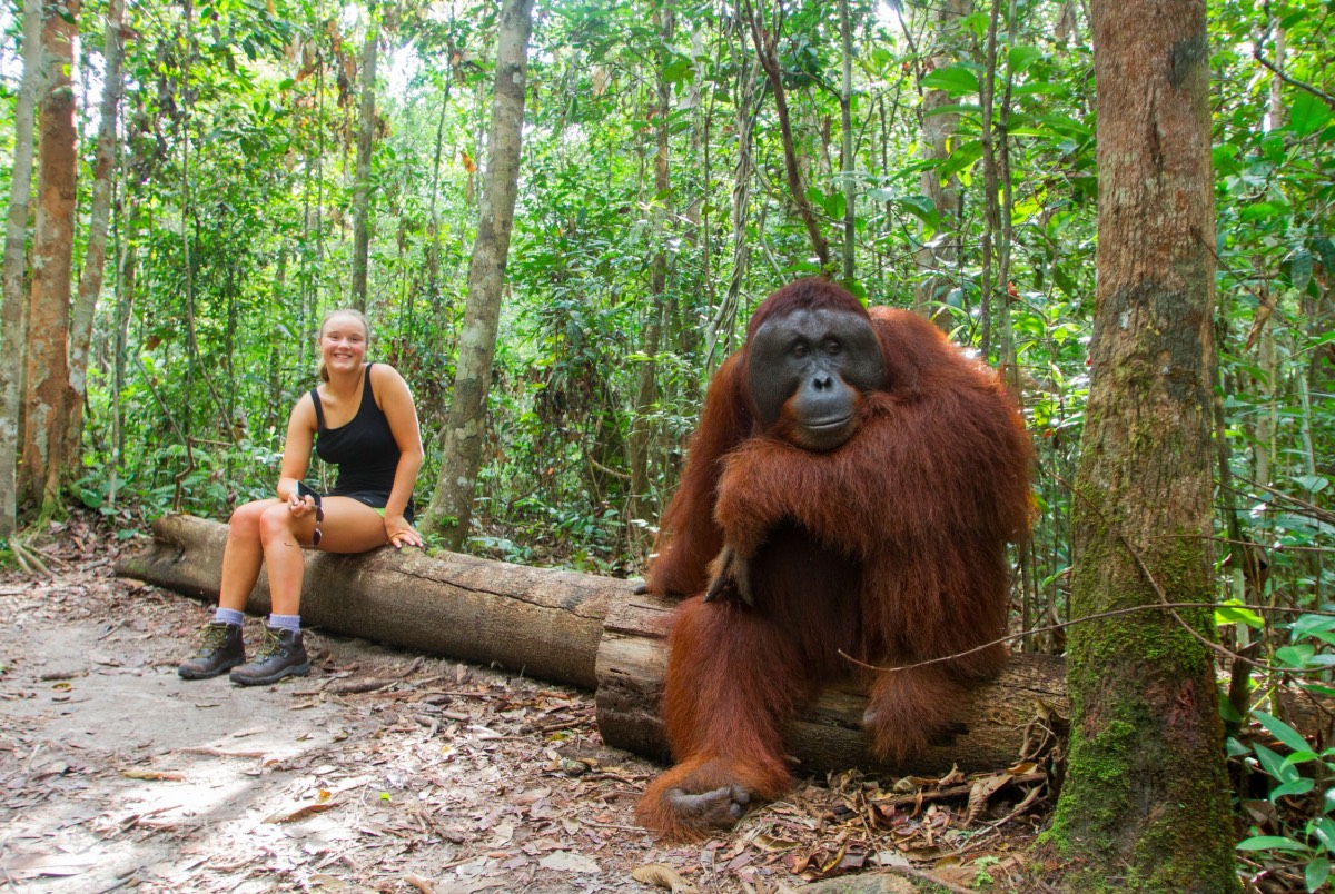 Borneo