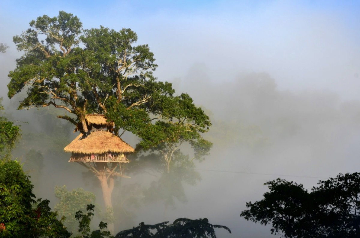 Bokeo Nature Reserve, Laos