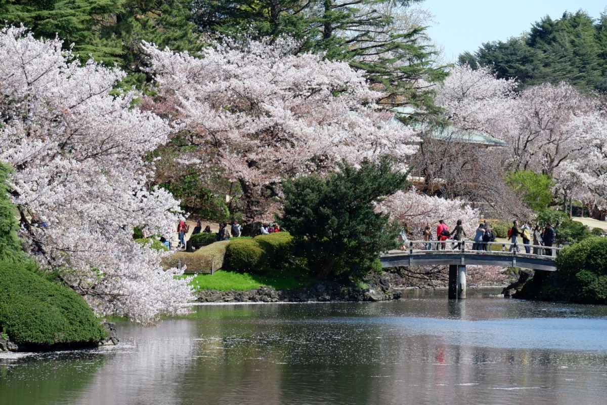 Shinjuku Gyoen, Japan