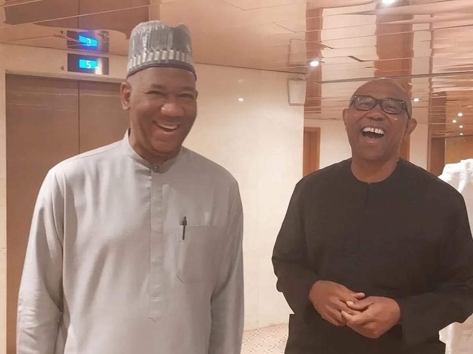 Yusuf Datti Ahmed, Peter Obi