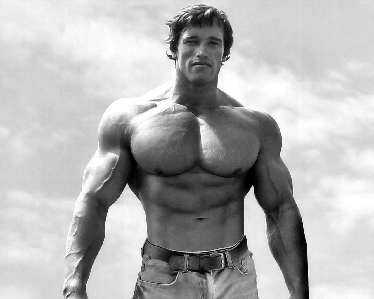 Arnold Schwarzenegger in his Mr Olympia days 