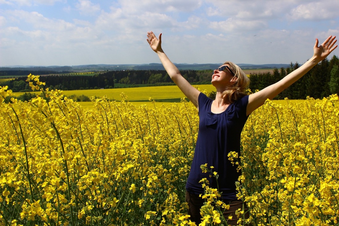 the trent, meditation, gratitude