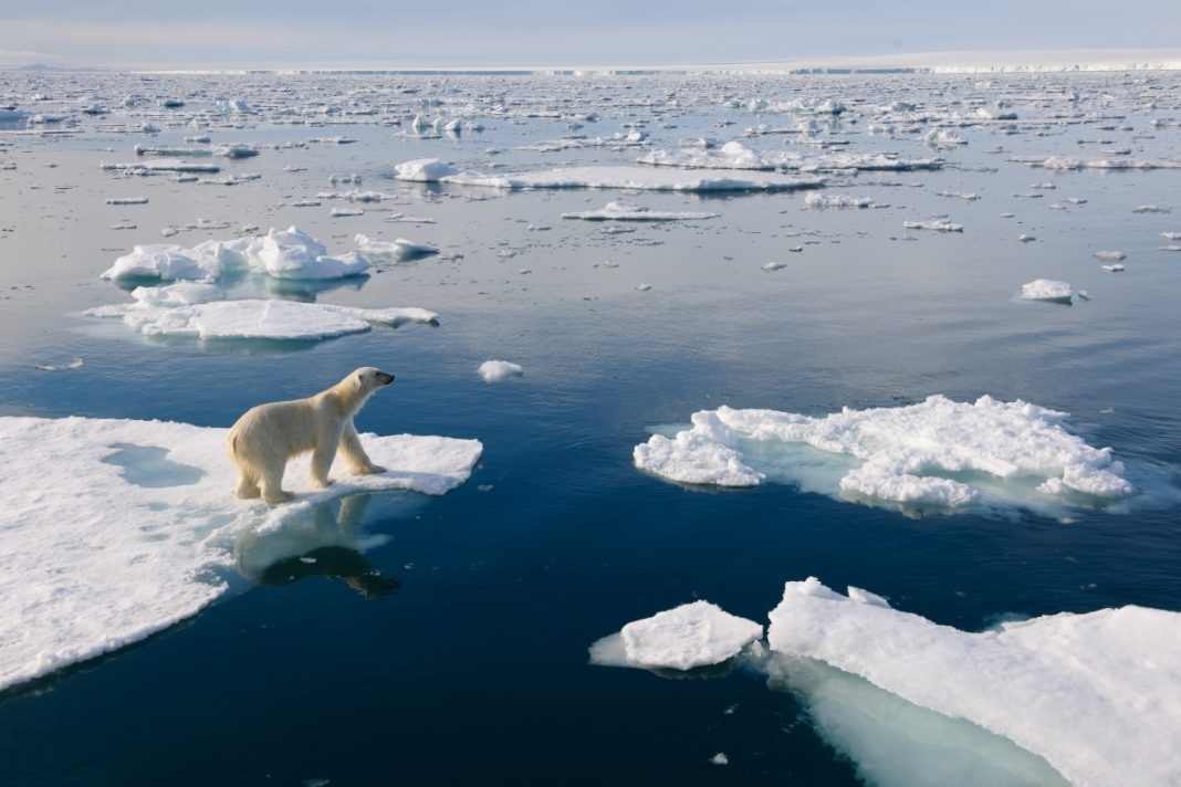 Arctic Sea A Polar bear is pictured at a melting Artic Sea. | © Florian Schulz/visionsofthewild.com