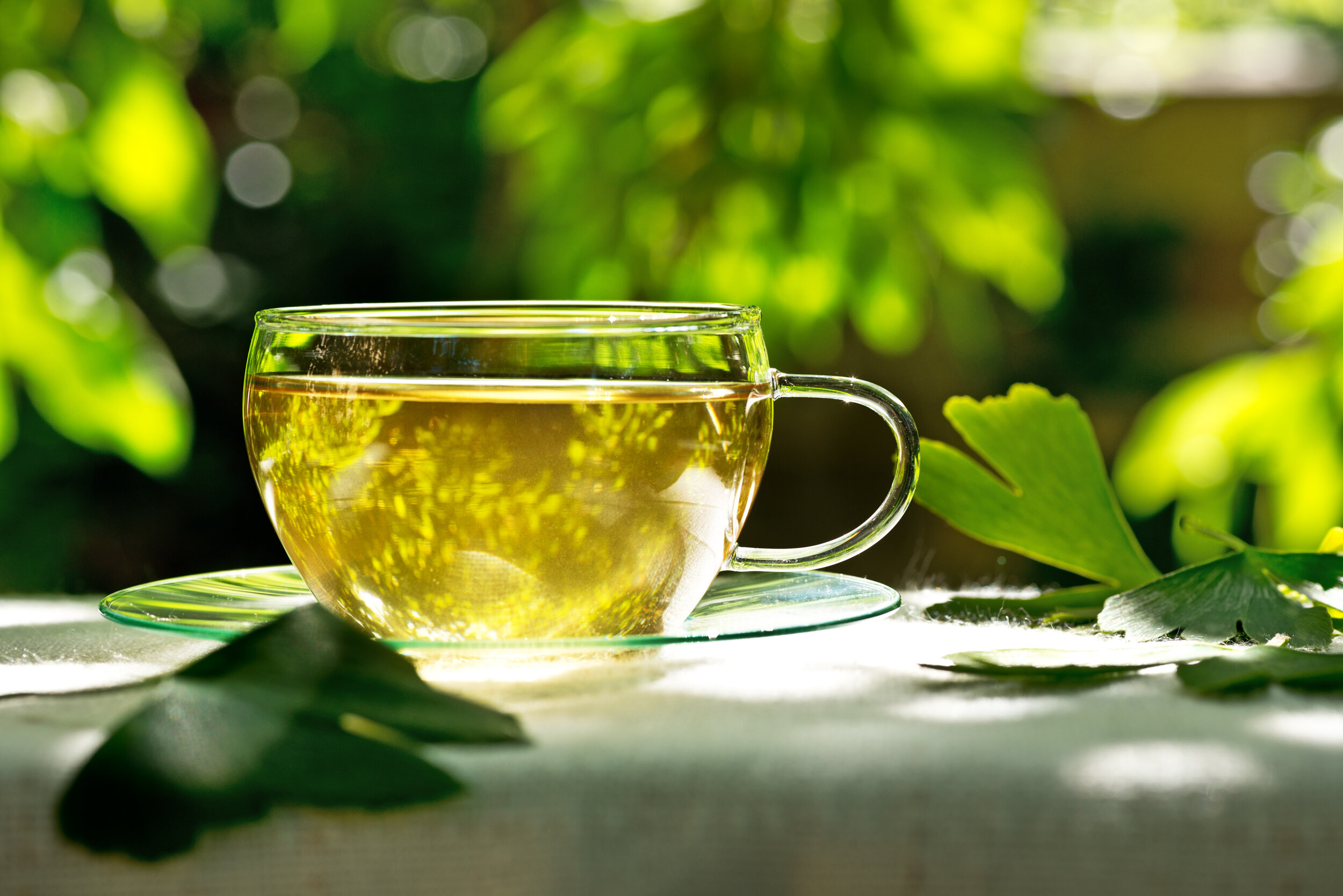 Tea with ginkgo biloba